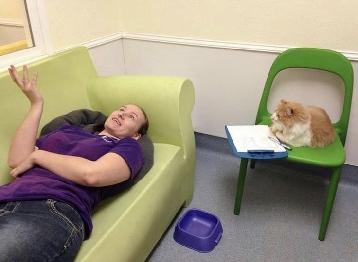 Therapy Session with Dr. Whiskers, PhD in Sass